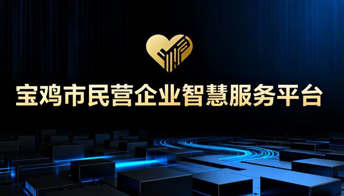 华数智能“宝鸡市民营企业智慧服务平台“建设